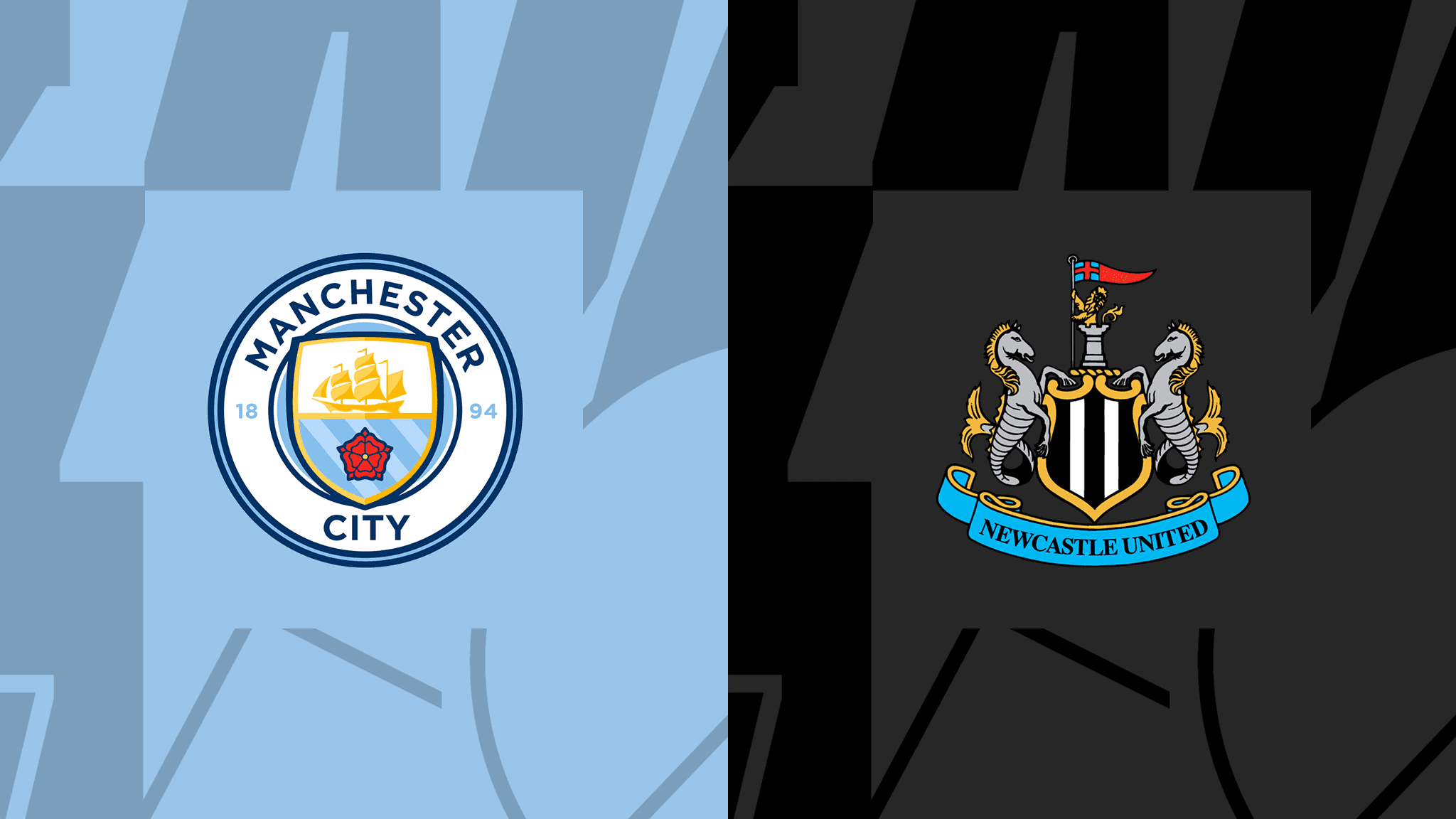 Man city v newcastle