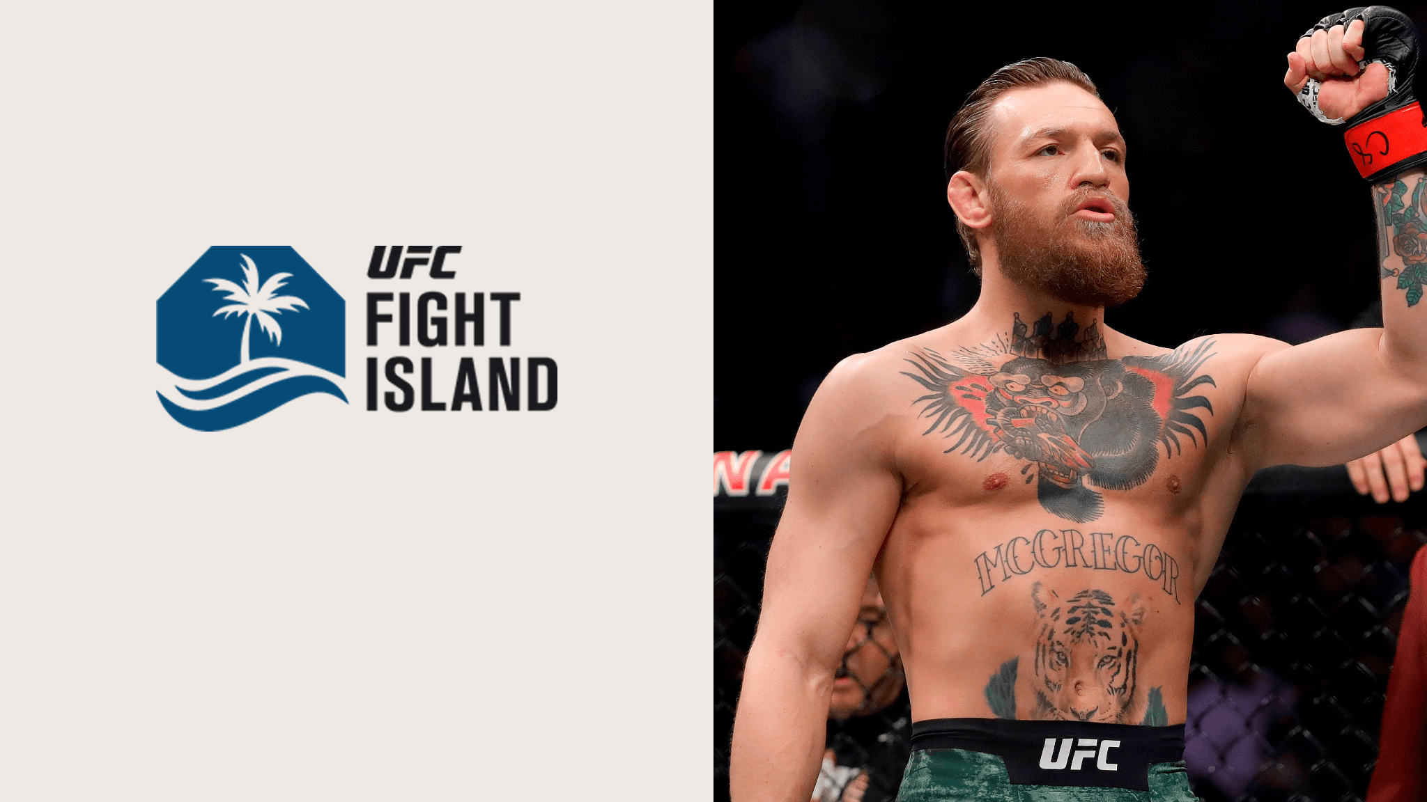 Watch Ufc 257 Poirier Vs Mcgregor 2 Live Stream Dazn Es