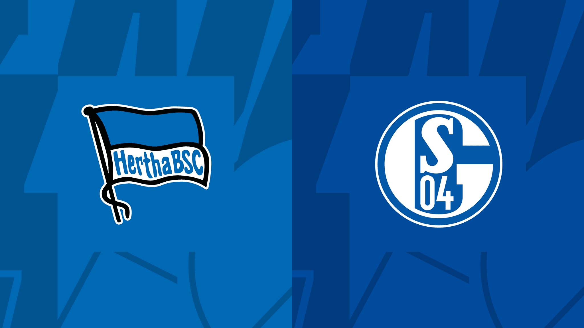 Hertha gegen Schalke