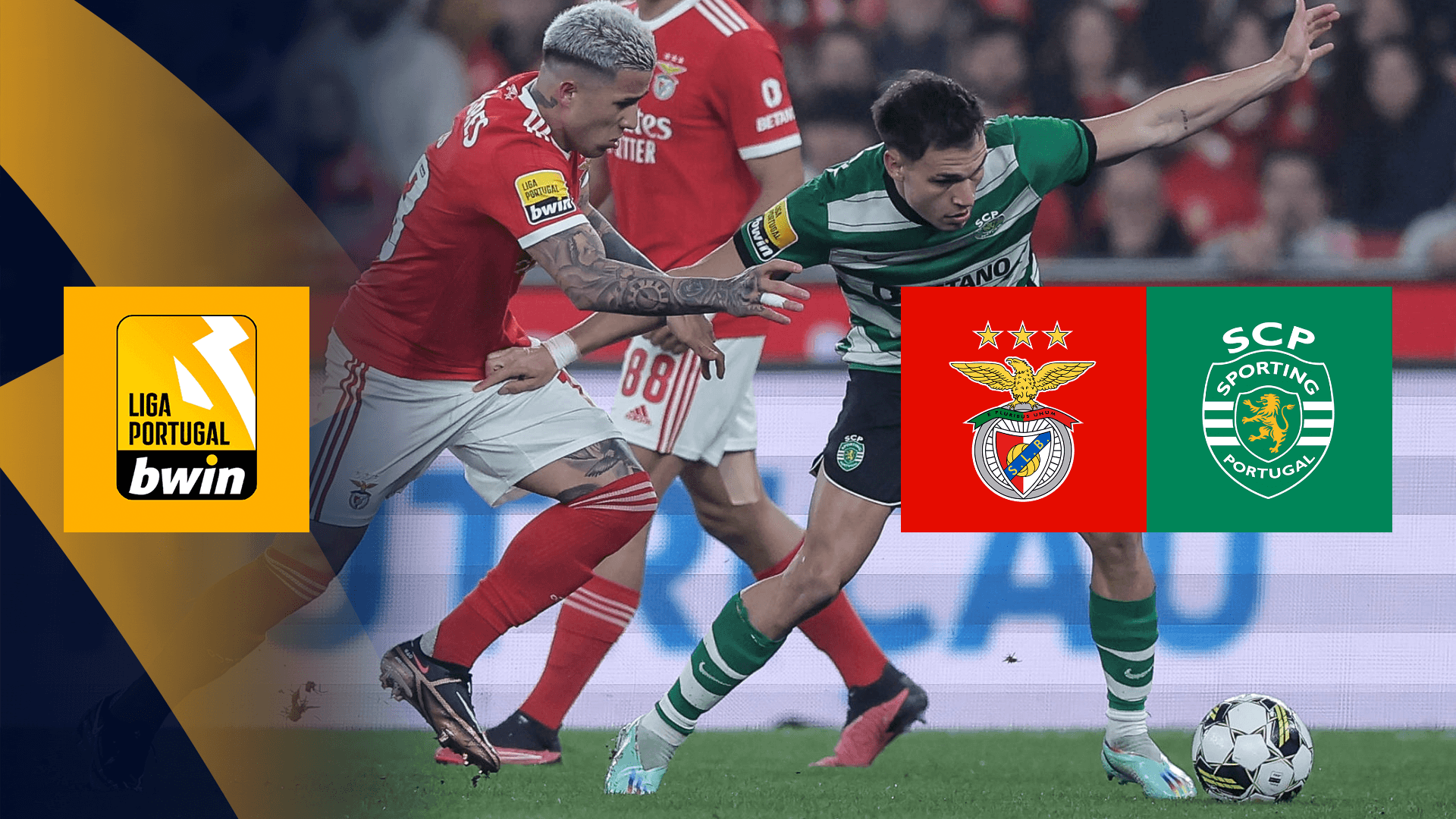 Benfica Sporting CP Live Stream Jetzt Anmelden DAZN AT