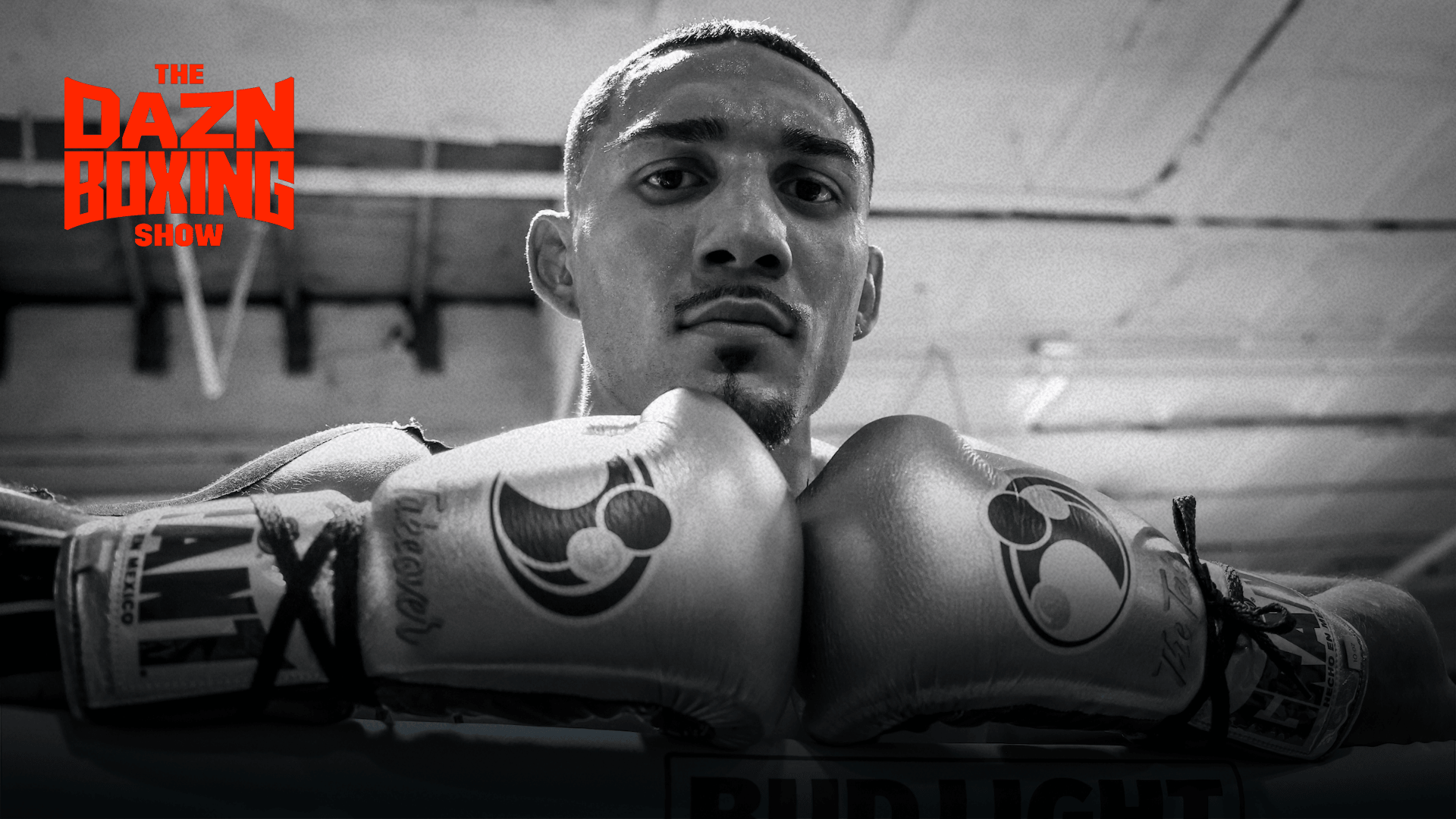 watch i ve never liked loma haney is annoying teofimo lopez exclusive online dazn by