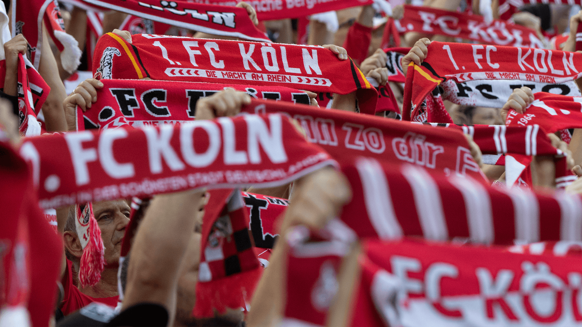 FC Köln