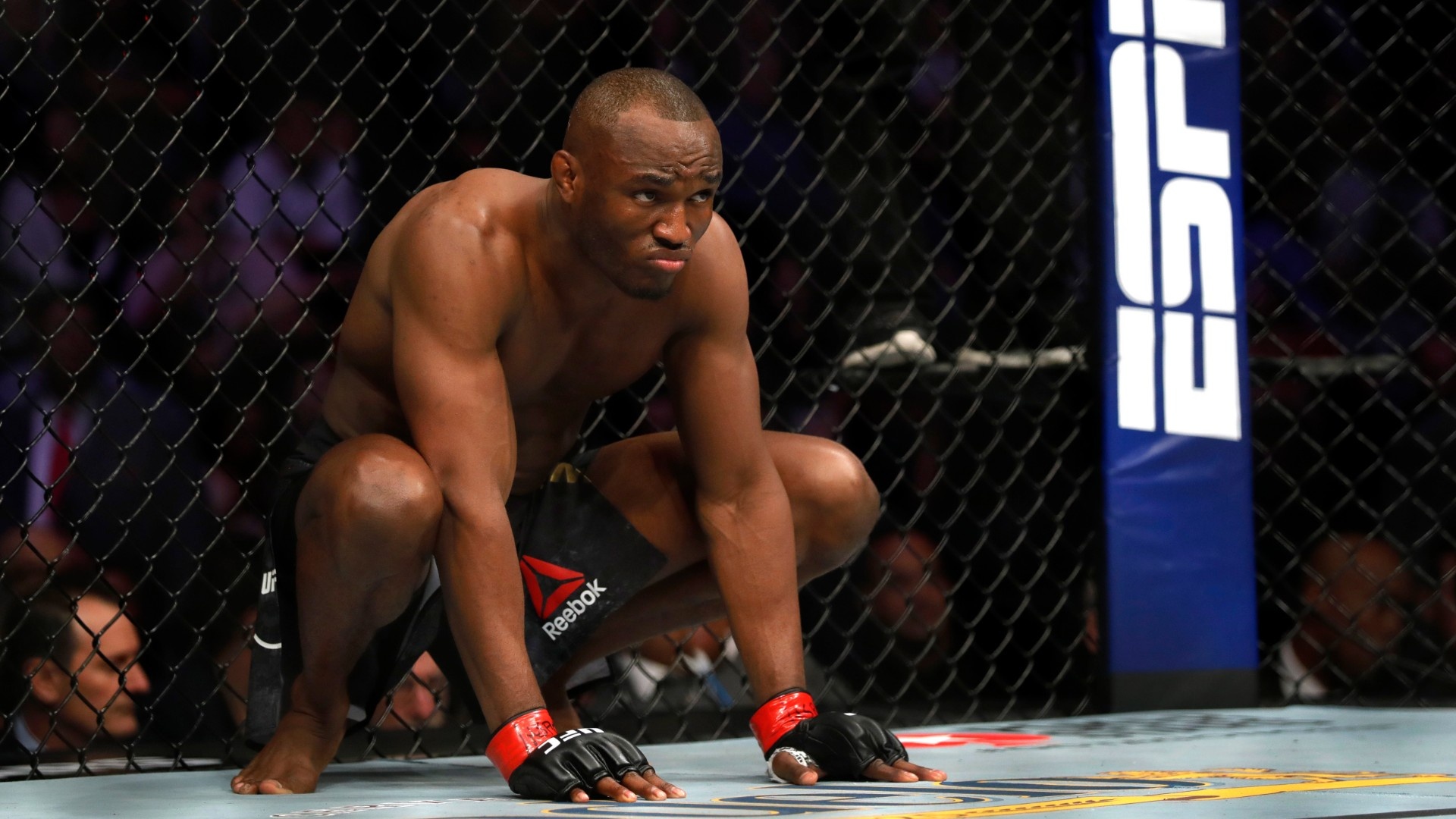 UFC 258: Usman vs Burns (Hauptkämpfe) Live Stream | Gratismonat Starten | DAZN DE