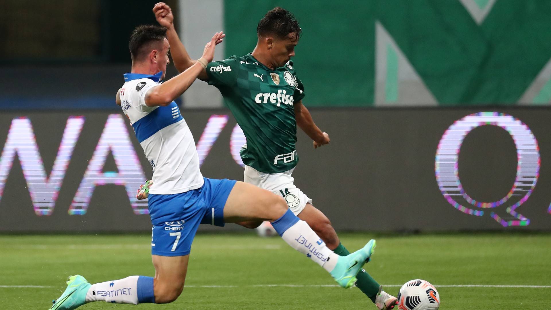 Palmeiras Universidad Catolica Live Stream Gratismonat Starten Dazn De