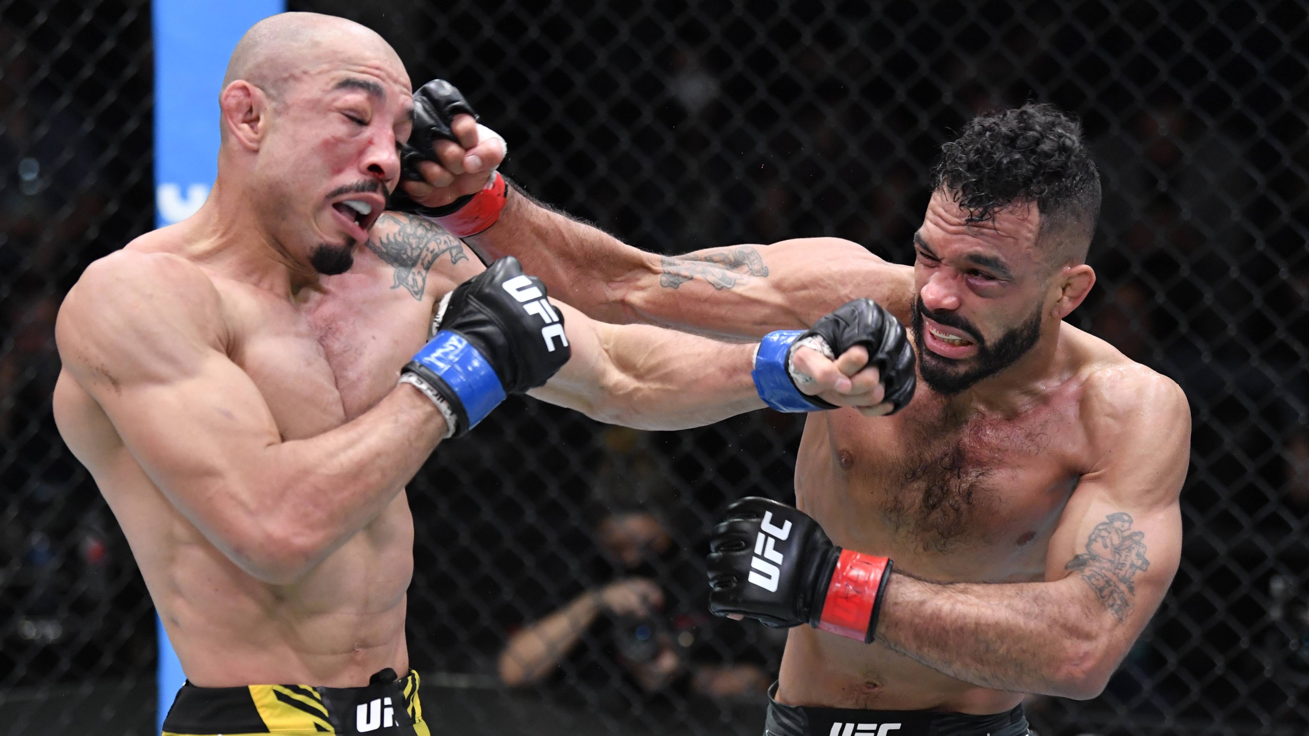 超人気新品 ノゲイラサイン入りグローブ ボクシング Www Qiraatafrican Com