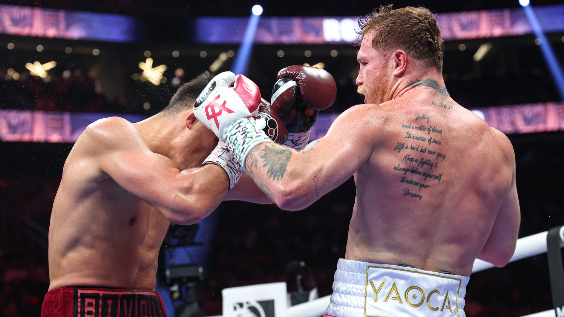 Трансляция бокса париж. Бивол Канело. Bivol vs Canelo. Бивол Йорк.