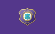 FC Erzgebirge Aue