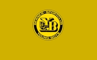 BSC Young Boys