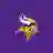 Minnesota Vikings