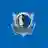 Dallas Mavericks