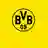 Borussia Dortmund U19