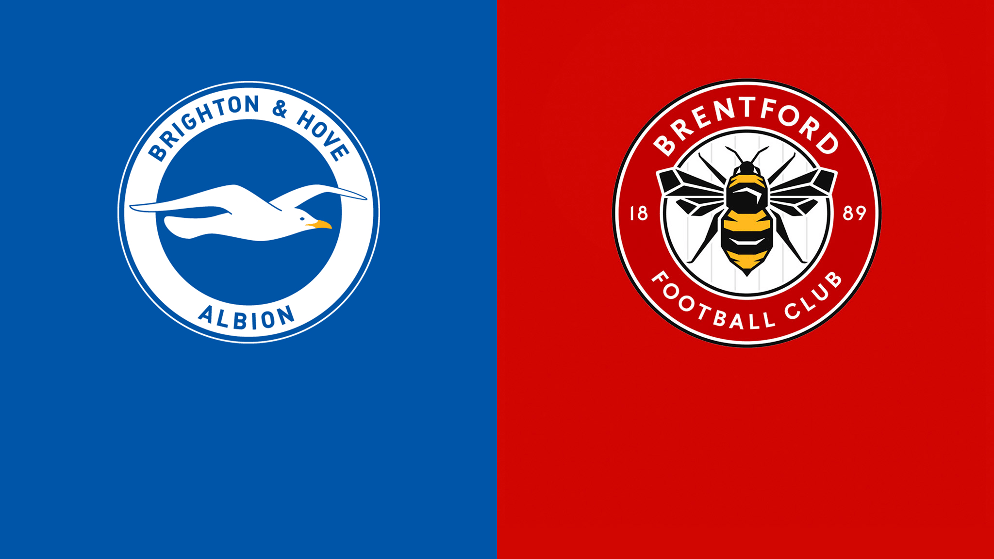 Watch Brighton v Brentford Live Stream DAZN JP