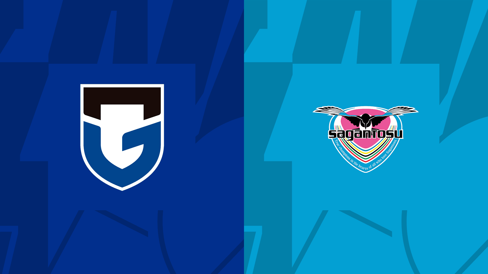 G大阪 Vs 鳥栖 第28節 をライブ 中継 Dazn Jp