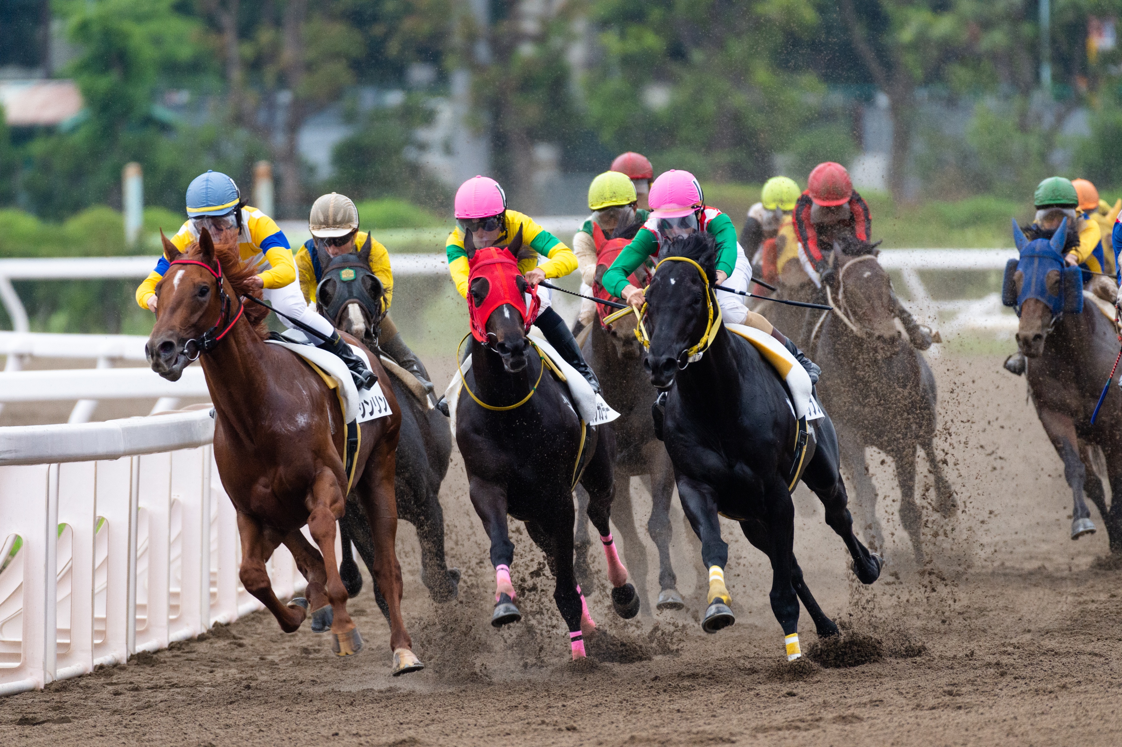 第14回 大井競馬 第3日 1R～4R (1410～1630) をライブ 中継 1ヶ月お試し¥0 DAZN JP