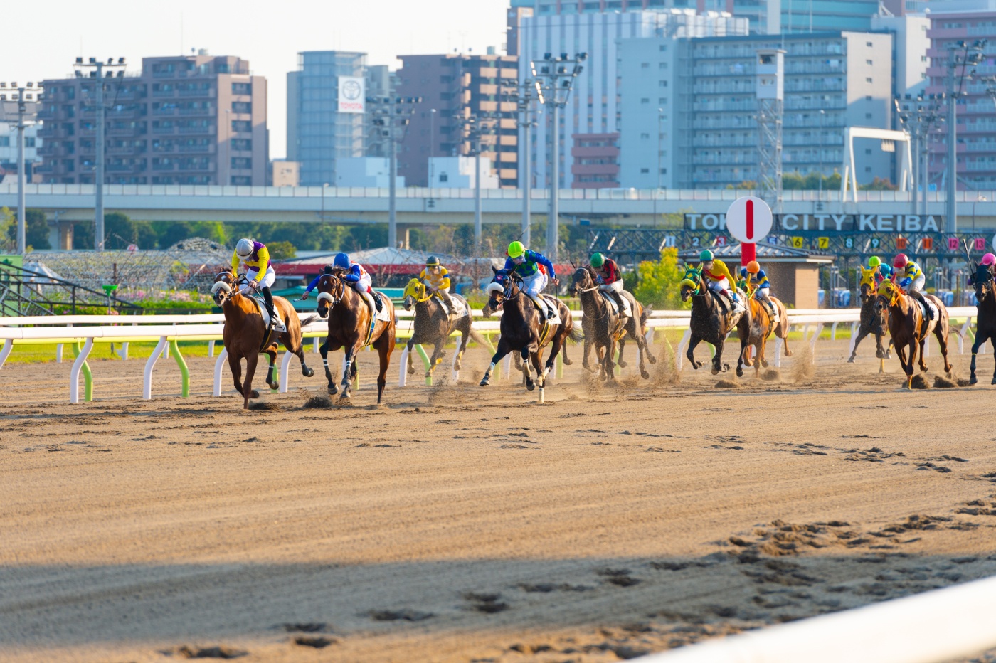 第15回 大井競馬 第4日 5R～8R (1155～1445） をライブ 中継 1ヶ月お試し¥0 DAZN JP